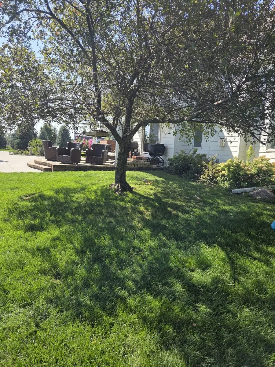 Lawn care at an Omaha-area property with a mature shade tree